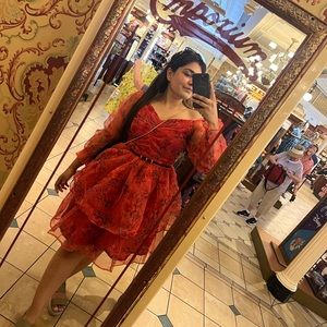 Floral Print Organza Princess Dress